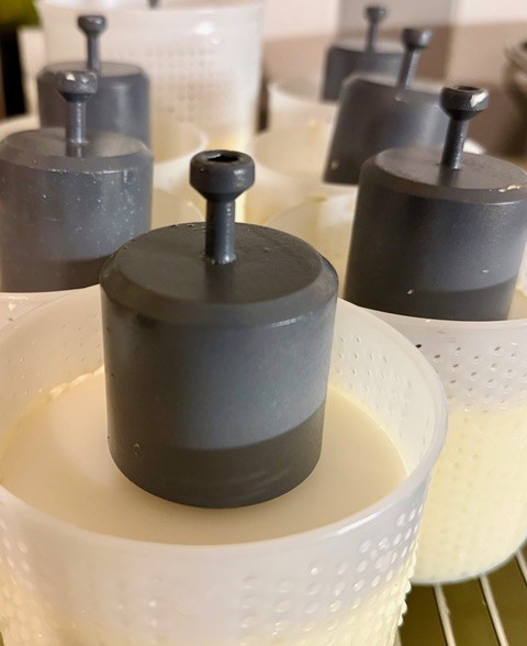 Küchenworkshop von der Milch zum Käse mit Stefan Weigert